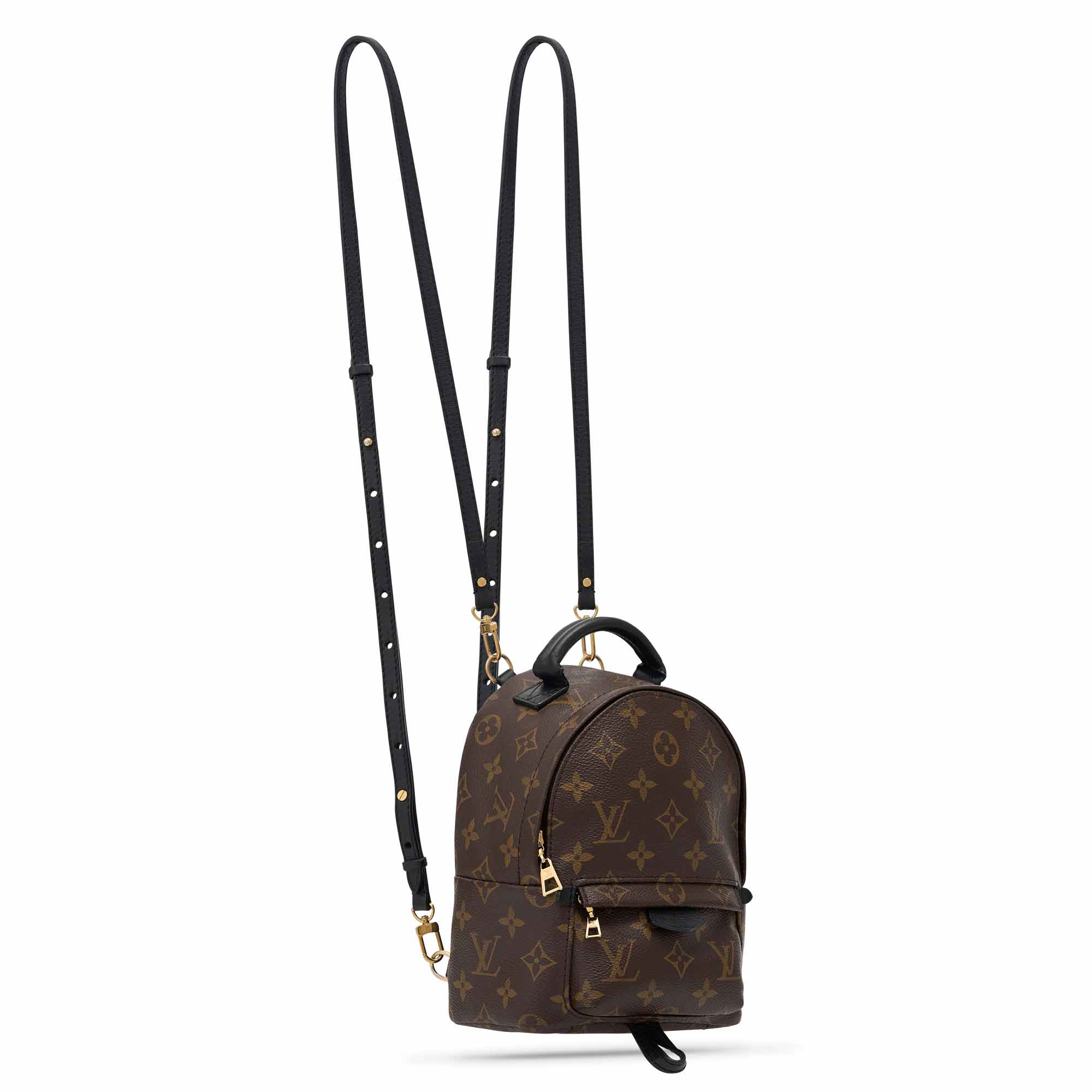 Best 25 Deals for Louis Vuitton Palm Springs Backpack Mini  Poshmark